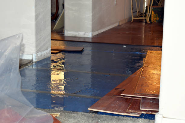 Professional Basement Flood Cleanup technician working in Mount Carmel, OH